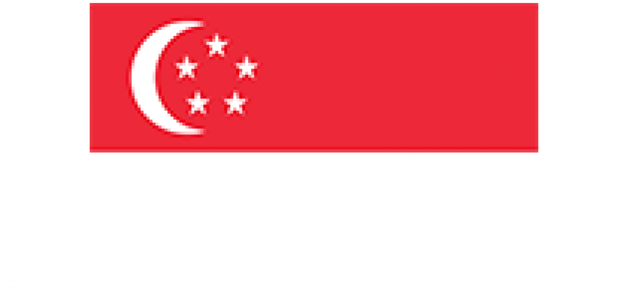 Singapore flag
