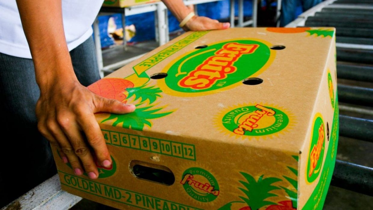 MD2 Pineapple Packaging