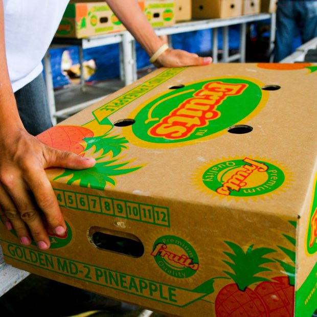 MD2 Pineapple Packaging
